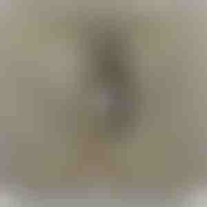 Des parents à fille | NAMI