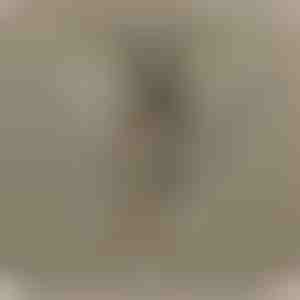 Des parents à fille | NAMI_HEARTS