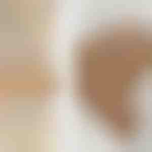 Ensemble de bagues | SPARKLET