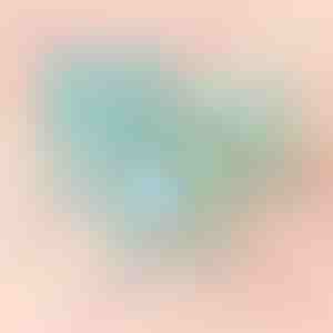 Boîte bleue avec rose | BLUEBOX