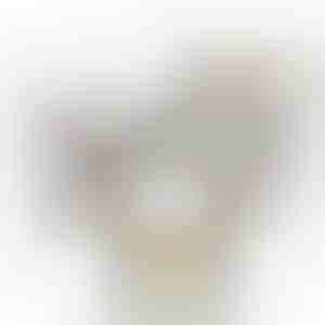 Boîte blanche avec rose | WHITEBOX