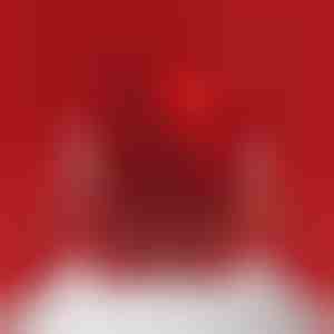 Boîte à bijoux Ours filant | ROSBEAR