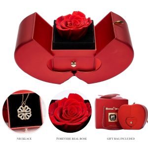 Collier de trèfle 2en1 et boîte cadeau | CLOVERIE_APPLEROSE