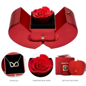 Collier dans une boîte cadeau | HEARTS_APPLEROSE