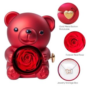 Collier et boîte à bijoux HEARTS avec un ours en peluche qui tourne | HEARTS_ROSBEAR