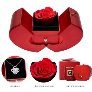 Collier dans une boîte cadeau | LK_APPLEROSE