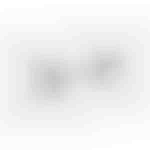 Boucles d'oreilles | ROSE_SILVER